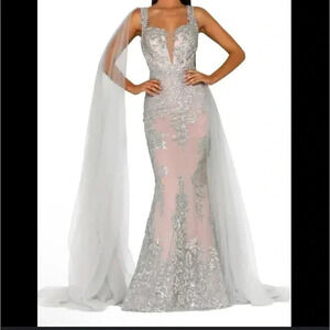Portia and scarlett silver nude evening gown TULLE REMOVED